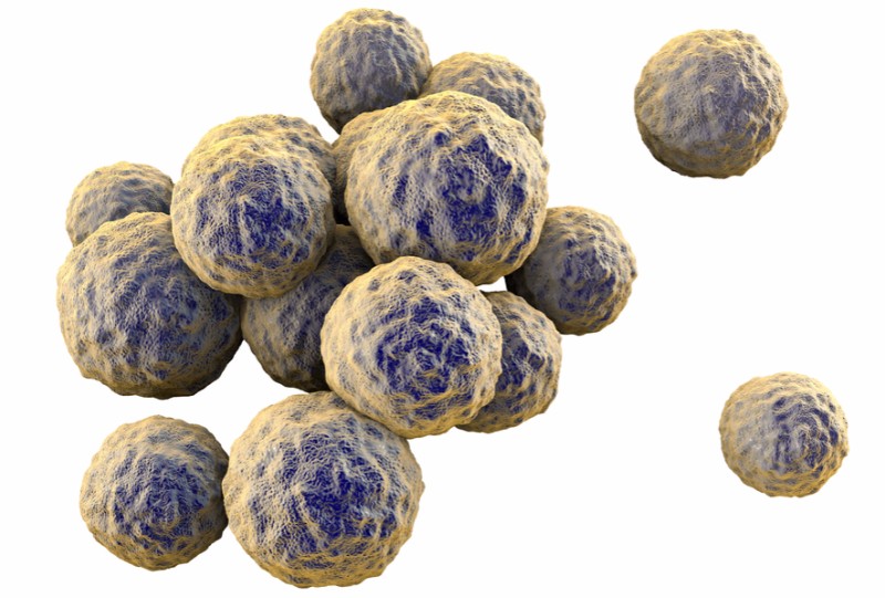 3D rendition of MRSA