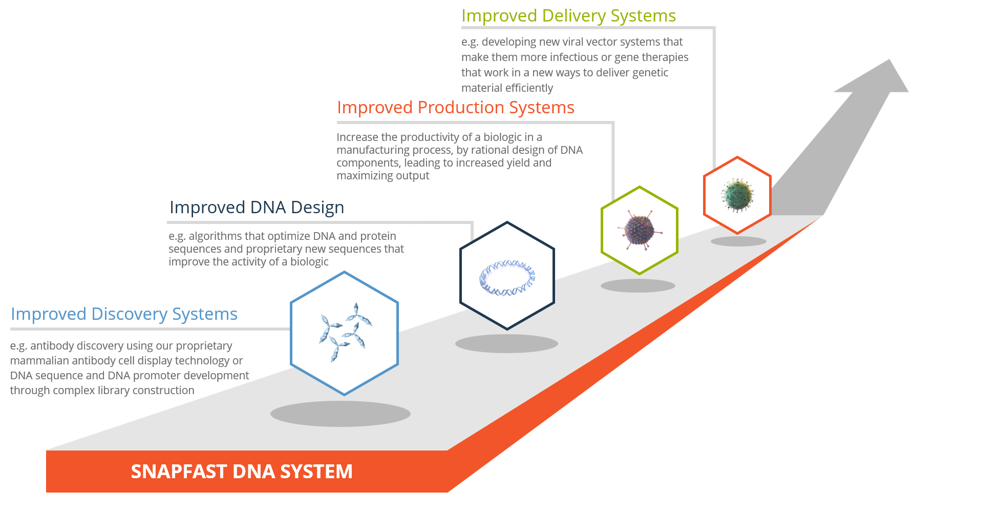 SNAPFAST DNA SYSTEM V6