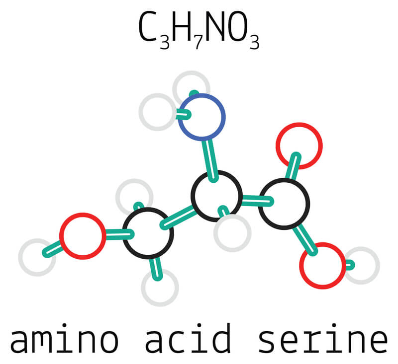 Serine_Amino-Acid