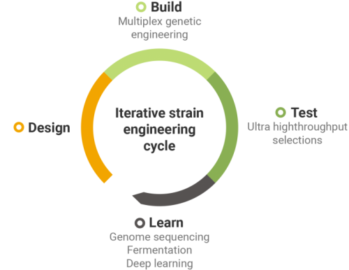 biosyntia strain biosynthesis biobased vitamin