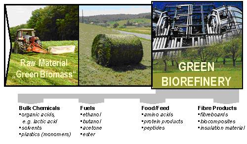 green biorefinery grass lactic acid