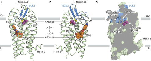 heptares therapeutics gpcr pain cancer inflammation