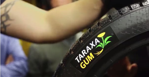 taraxagum dandelion rubber tires continental