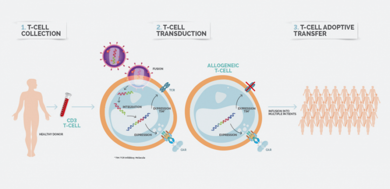 Allogeneic CAR-T_Celyad