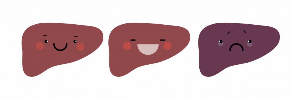 Genkyotex NOX enzyme liver fibrosis