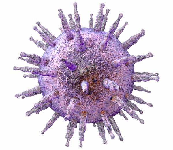 3D rendition of the human cytomegalovirus (hCMV)