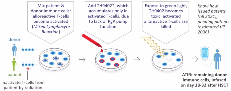 Kiadis' ATIR is infused 28-32 days after HSCT