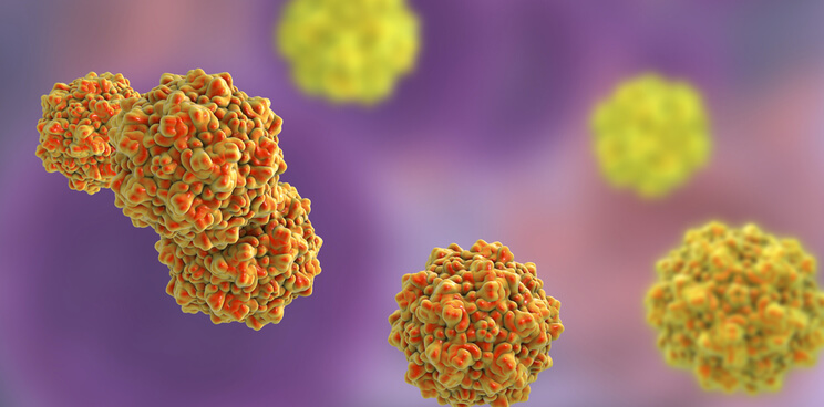 Oryx glioblastoma ParvOryx combination 1