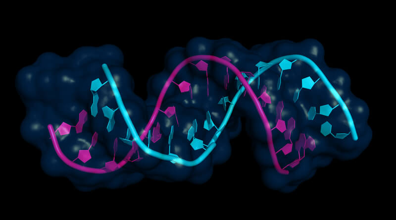 Rigontec_RNA