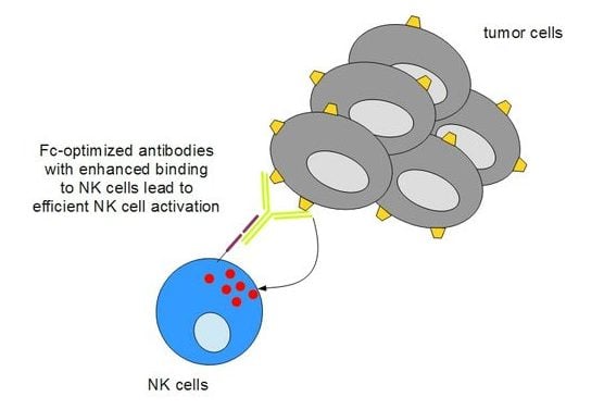 Synimmune-AML-MOA