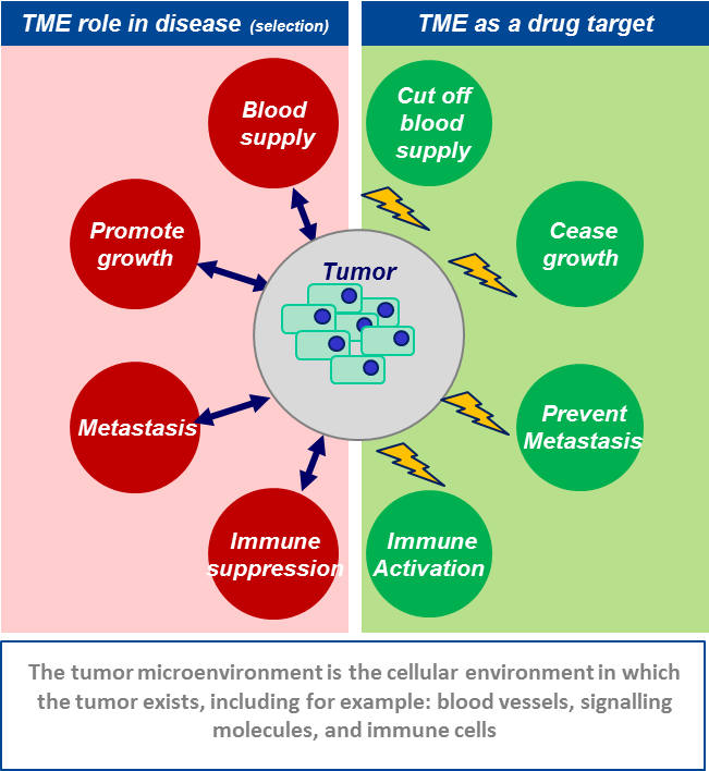 TME_checkpoint-inhibitor_Noxxon