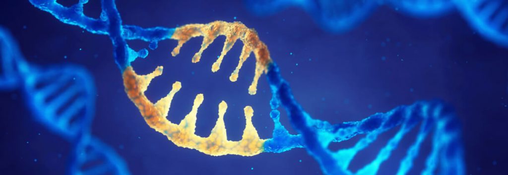 crispr cas9 drug discovery3 1