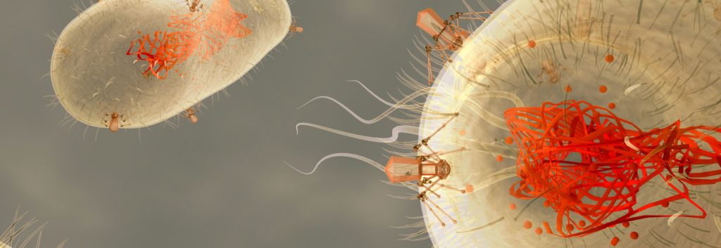 fossil proteins virus resistance granada