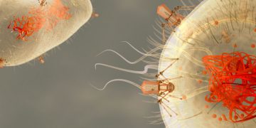 fossil proteins virus resistance granada