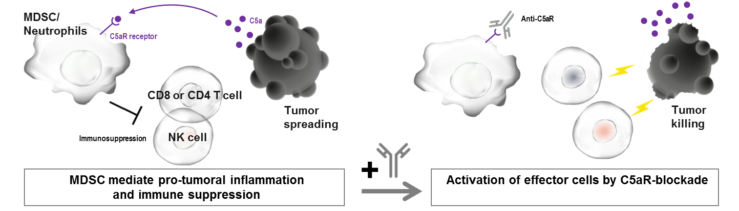 Innate-Pharma-cancer-MOA