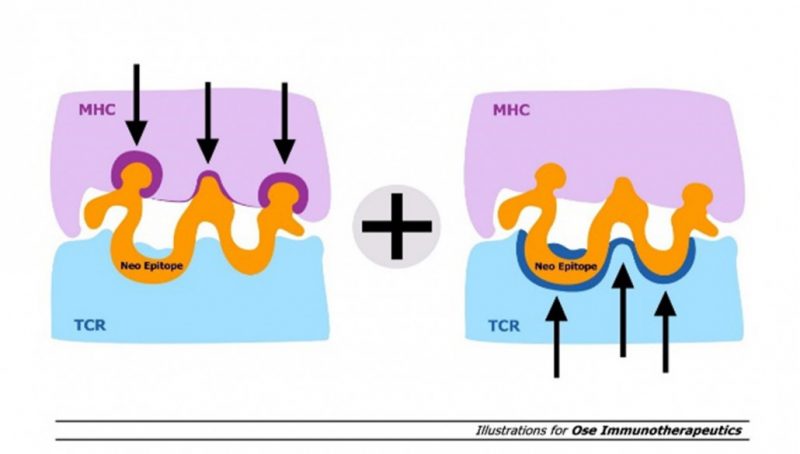 OSE-Tedopi-NSCLC