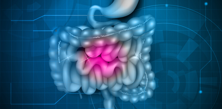 Ose Immunotherapeutics bpifrance milestone bowel disease