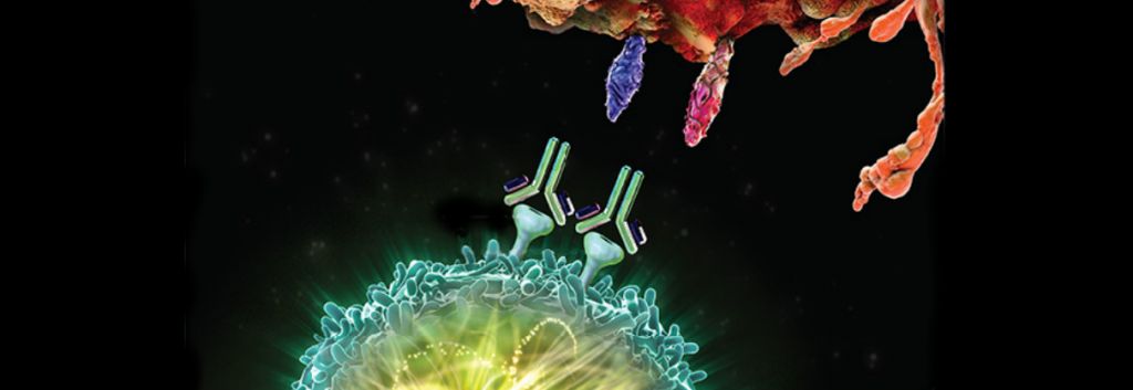 PD L1 PD 1 checkpoint inhibitors