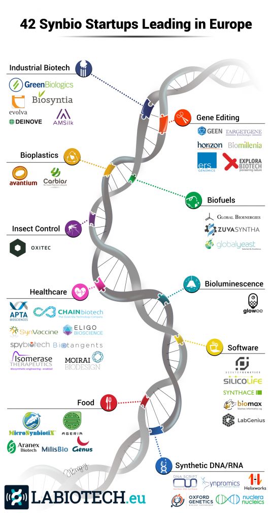 SynBio startups Europe infographic