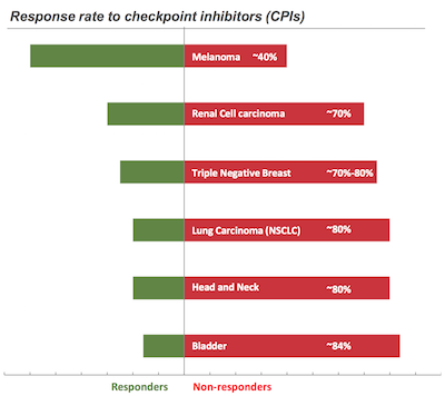 Most patients don't respond to checkpoint inhibitors