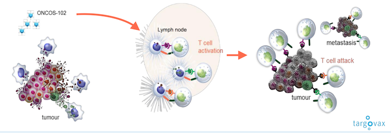 Targovax Oncolytic Viruses