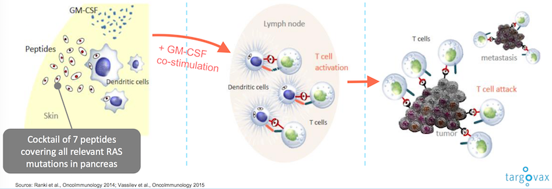 Targovax Peptide Vaccines