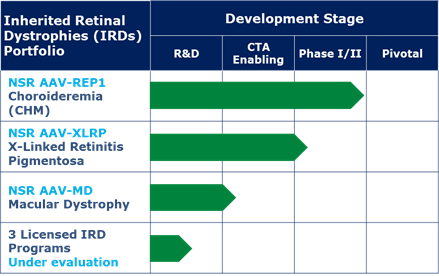 nightstarx blindness gene therapy pipeline