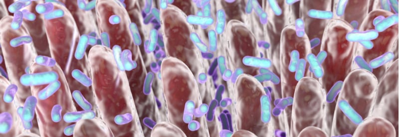 Modulating the Microbiome Could Boost Vaccine Performance