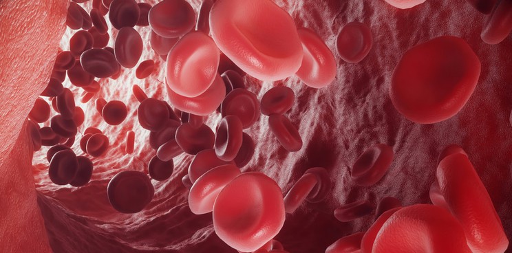 Erytech pharma Queens university red blood cells