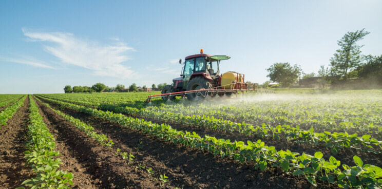 Herbicide resistance kaiima basf