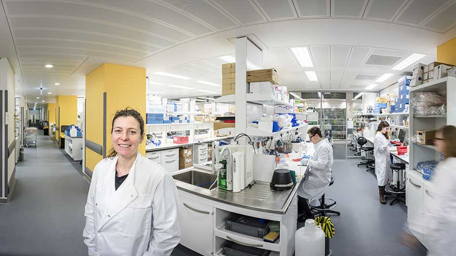 Ilaria Malanchi, group leader at the Tumor-Host Interaction Laboratory in The Francis Crick Institute