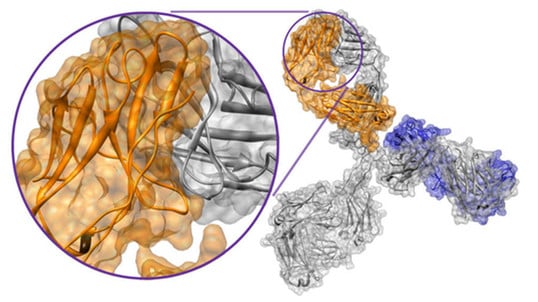 novimmune shire hemophilia antibody