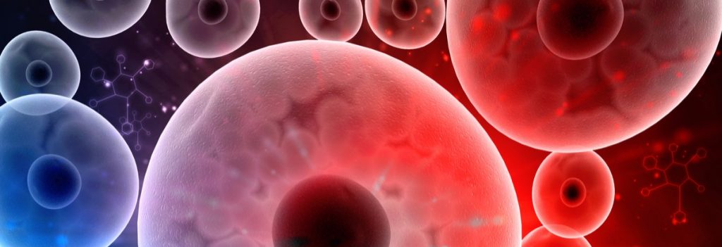 Immatics cancer personalized cell therapy