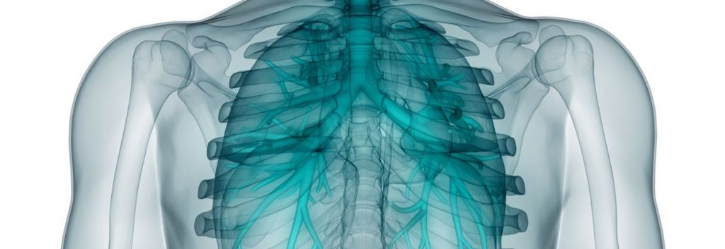 galapagos glpg1690 idiopathic pulmonary fibrosis