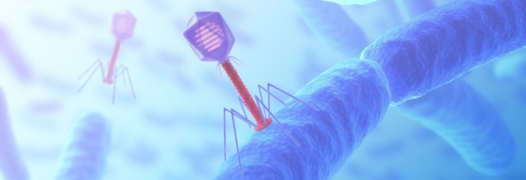 Eligo Bioscience Microbiome CRISPR Bacteriophage