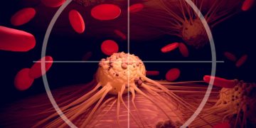 synaffix adc antibody-drug conjugate glythera