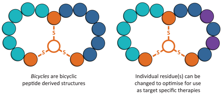 bicycle therapeutics bioverativ hemophilia