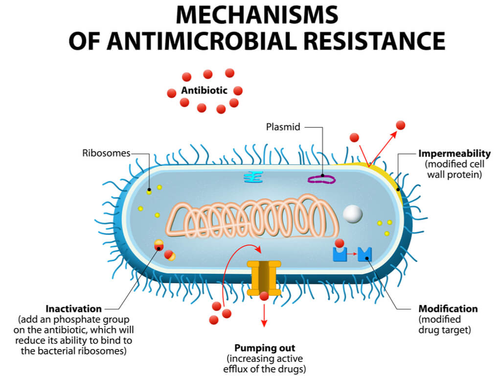 antibiotic-resistance-motif-bio (1)