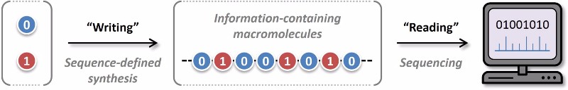 Molecular computer