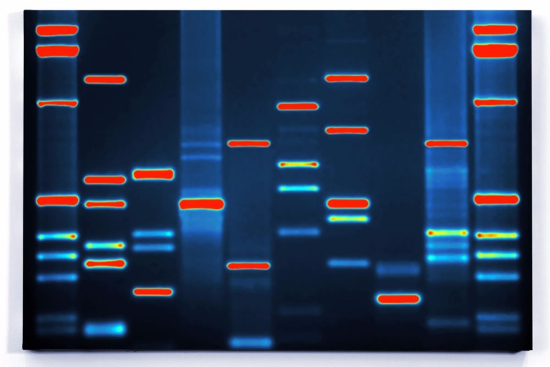 biotechnology gifts DNA portrait