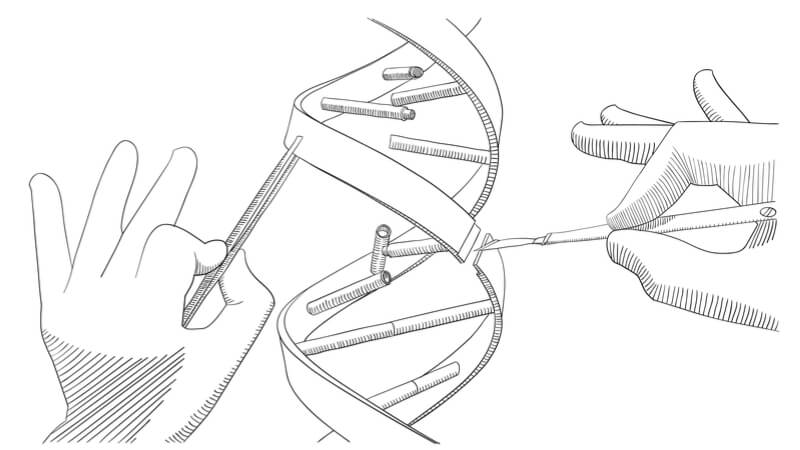 synbio synthetic biology cambridge