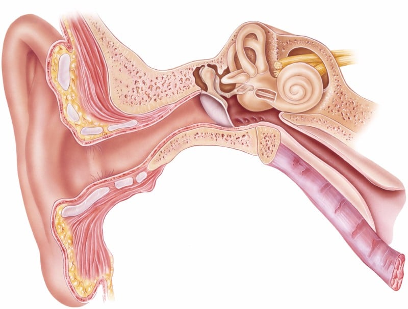 hearing loss tinnitus vertigo