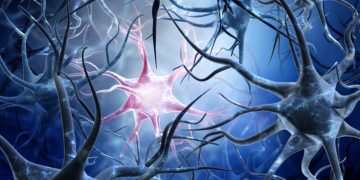 alzheimers disease AC Immune Eli Lilly