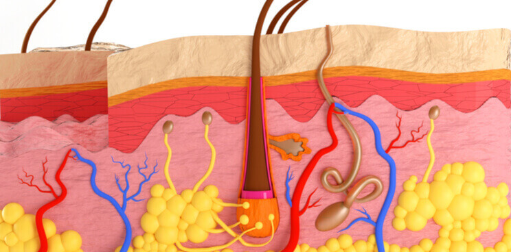 dystrophic epidermolysis bullosa proqr rna therapy