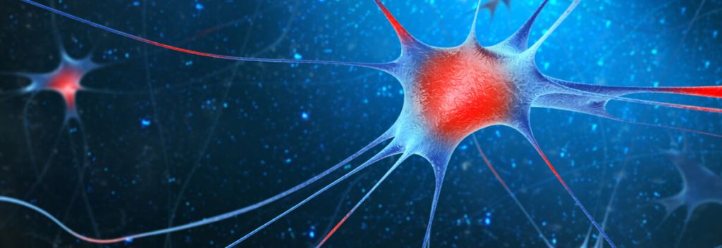 topas autoimmune diseases series A1 1