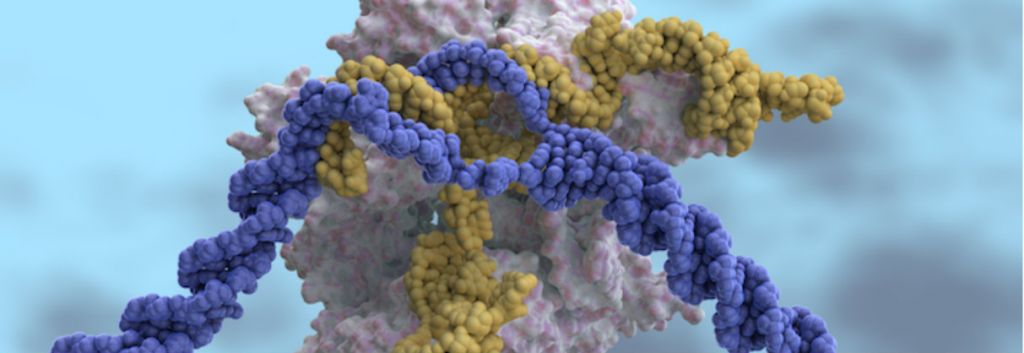 CRISPR Therapeutics clinical trials CRISPR Cas9