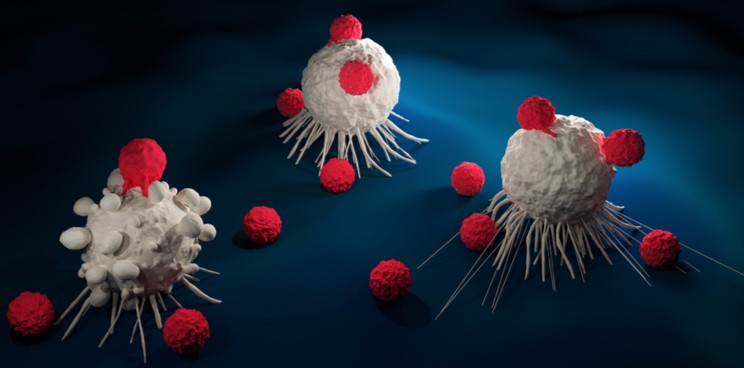 allogeneic car t cells cellectis 1