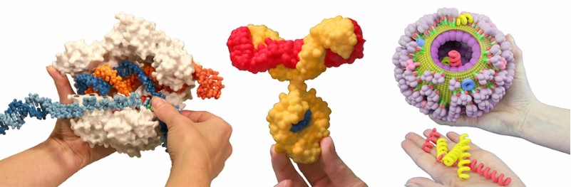 biotechnology gifts 3D model
