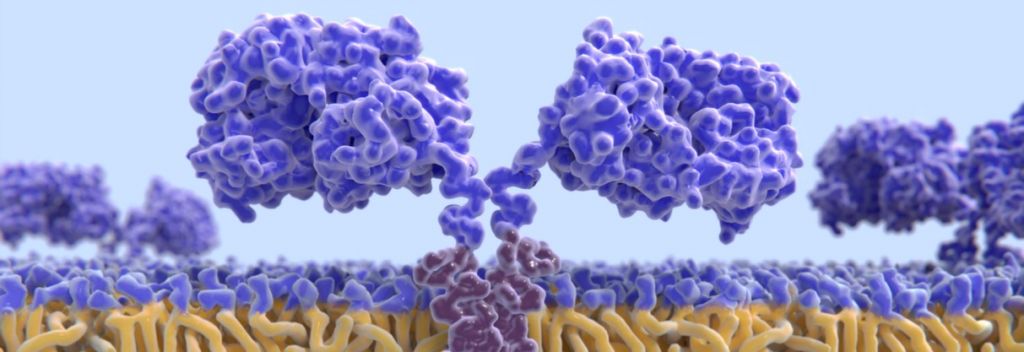 car t cells tc biopharm bluebird bio