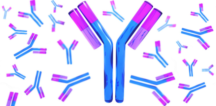 Abcam Roche Antibodies